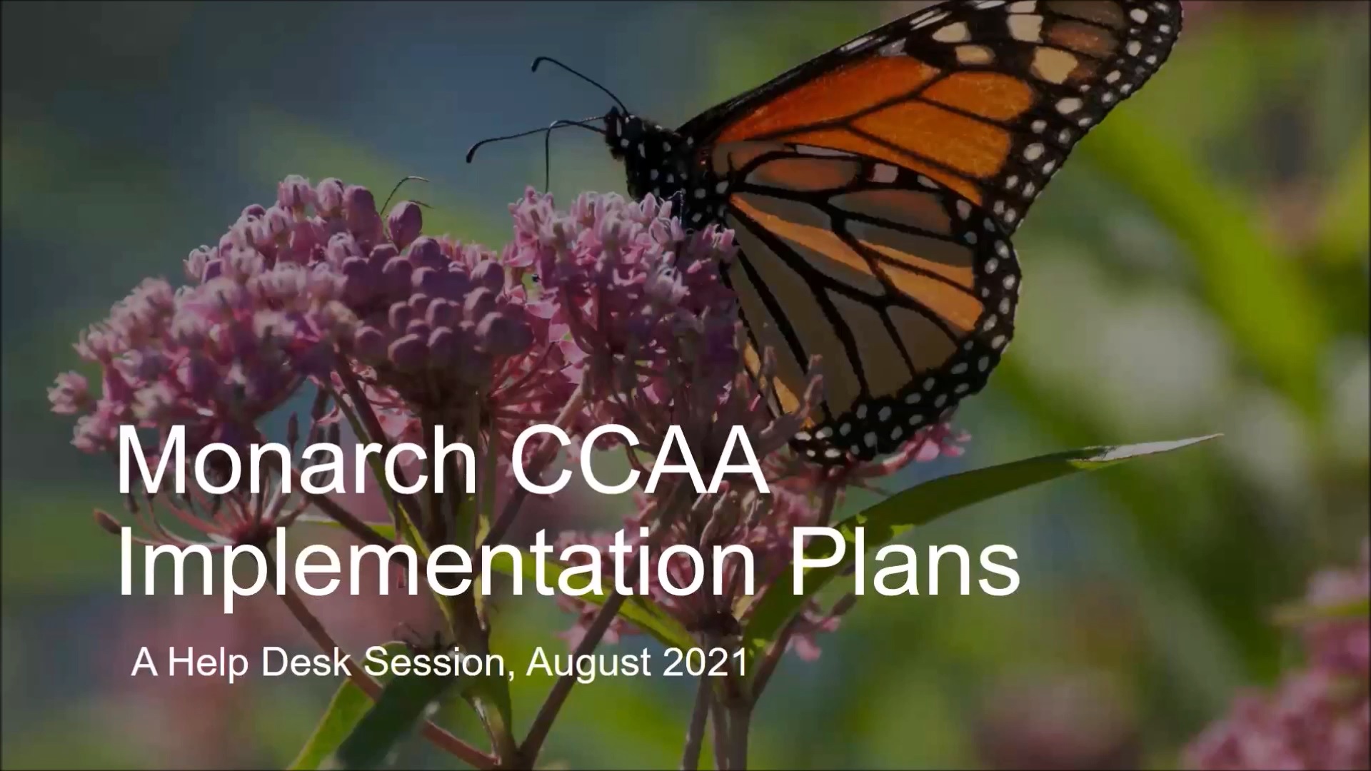 Monarch Ccaa Implementation Plans Rights Of Way As Habitat Working Group