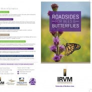 Informative brochure titled "Roadsides for Bees and Butterflies," featuring a close-up of a butterfly on a purple flower in a vibrant field. The design highlights the importance of creating habitats for pollinators, with logos and contact information for the Integrated Roadside Vegetation Management program at the University of Northern Iowa.
