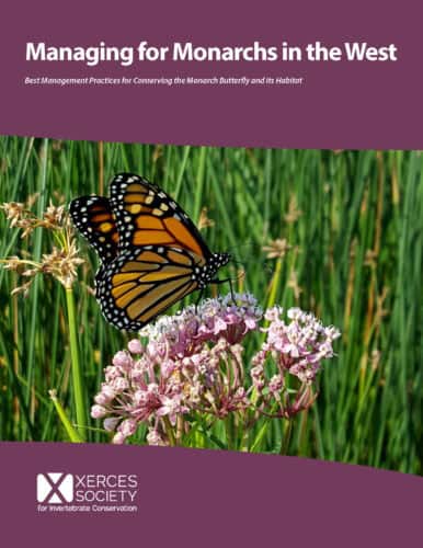 Monarch butterfly perched on pink flowers, with a green grassy background, featured on the cover of 