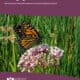 Monarch butterfly perched on pink flowers, with a green grassy background, featured on the cover of "Managing for Monarchs in the West," a guide by the Xerces Society focused on conservation practices for monarch butterflies and their habitats.