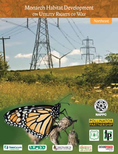 Alt text: A colorful monarch butterfly perched on a plant in a field, with utility power lines and a green landscape in the background. The image promotes monarch habitat development on utility rights of way in the Northeast, featuring logos from various conservation organizations.