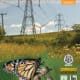 Alt text: A colorful monarch butterfly perched on a plant in a field, with utility power lines and a green landscape in the background. The image promotes monarch habitat development on utility rights of way in the Northeast, featuring logos from various conservation organizations.
