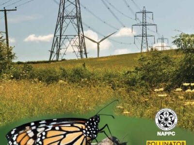 Monarch butterfly perched on a plant in a lush habitat, with utility power lines in the background, highlighting the initiative for Monarch habitat development on utility rights of way in the Southeast. Logos of supporting organizations are visible at the bottom.