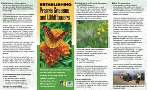 Informative brochure on establishing prairie grasses and wildflowers, featuring a vibrant orange butterfly on a flower, with sections detailing site preparation, seed selection, and maintenance tips for prairie restoration.