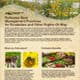 Informative guide on pollinator best management practices for roadways and other rights-of-way, featuring colorful illustrations of pollinators and native plants, along with benefits of supporting pollinator habitats.