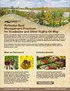 Informative guide on pollinator best management practices for roadways and other rights-of-way, featuring colorful illustrations of pollinators and native plants, along with benefits of supporting pollinator habitats.