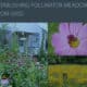 Image depicting the establishment of pollinator meadows from seed, featuring a vibrant garden with various flowering plants, a close-up of a bee on a pink flower, and a meadow filled with yellow and orange blooms alongside a sign indicating a pollinator habitat.