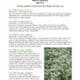 Document outlining the "IPM Program for the Vegetable Project," featuring detailed information on pest management strategies and best practices for vegetable cultivation, accompanied by an image of healthy green crops.