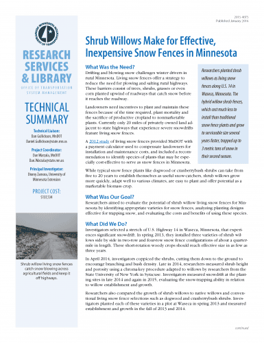 Alt text: Technical summary document discussing the effectiveness of shrub willows as living snow fences in Minnesota. It outlines the need for alternative solutions to traditional snow fences, the research conducted on various shrub species, and the benefits of using shrub willows for snow trapping along rural highways.