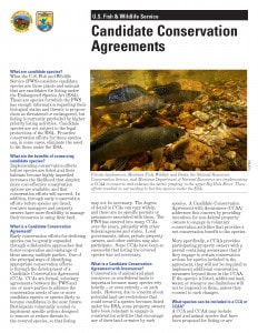 Informative flyer about Candidate Conservation Agreements by the U.S. Fish and Wildlife Service, featuring a photo of fish in a natural habitat, highlighting conservation efforts for at-risk species.