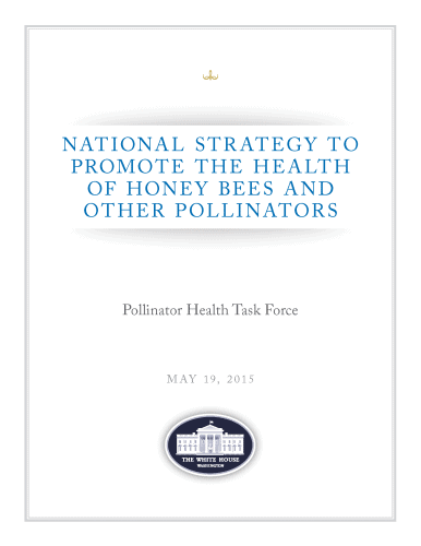 Cover page of the 