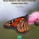 Monarch butterfly perched on a pink flower, featured in the "Texas Monarch and Native Pollinator Conservation Plan," published by Texas Parks & Wildlife in October 2015.