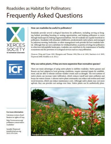 Image of a roadside habitat featuring native plants, with a truck passing by. The image illustrates the importance of roadsides as ecological spaces for pollinators, emphasizing the benefits of native vegetation for soil erosion control, water quality improvement, and aesthetic appeal.