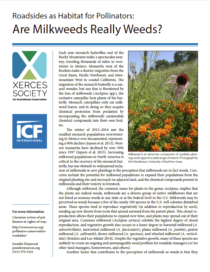 Alt text: Informative flyer discussing the role of milkweeds as habitat for monarch butterflies and their perception as weeds. It highlights the decline of monarch populations, the importance of milkweed for caterpillar survival, and addresses misconceptions about milkweed species and their ecological benefits. Includes images of milkweed and roadside habitats.