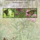 Alt text: Cover image of the "Monarch Breeding Habitat Assessment Tool" developed by the University of Minnesota Monarch Lab in partnership with the Monarch Joint Venture. The image features three photographs of monarch butterflies on milkweed plants, highlighting essential breeding habitats for monarch conservation.
