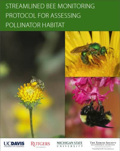 Alt text: Close-up images of various bee species on yellow flowers, illustrating the streamlined bee monitoring protocol for assessing pollinator habitats, with logos of UC Davis, Rutgers University, Michigan State University, and The Xerces Society.