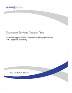 Ecosystem Services Decision Tree technical report cover, published in 2012, focusing on decision-support tools for integrating ecosystem services in the electric power industry.