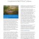 Image of a report titled "An Overview of Ecosystem Services: Considerations for Electric Power Companies" featuring a landscape with wetlands and water bodies, highlighting the importance of ecosystem services for electric power companies. The document discusses the role of natural ecosystems in providing benefits and considerations for energy companies.