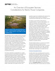 Image of a report titled "An Overview of Ecosystem Services: Considerations for Electric Power Companies" featuring a landscape with wetlands and water bodies, highlighting the importance of ecosystem services for electric power companies. The document discusses the role of natural ecosystems in providing benefits and considerations for energy companies.