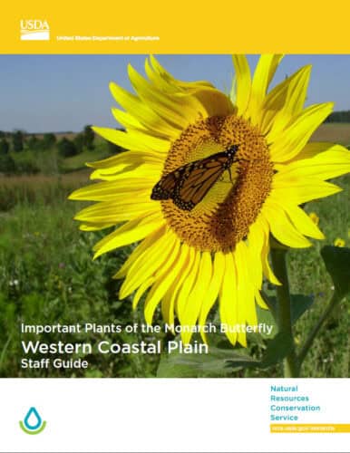 Monarch butterfly resting on a vibrant sunflower in a natural setting, featured in the USDA's guide on important plants for the Monarch Butterfly in the Western Coastal Plain.