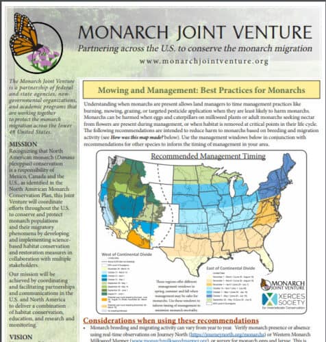Thumbnail to Mowing & Management: Best Practices for Monarchs. Link opens in a new tab