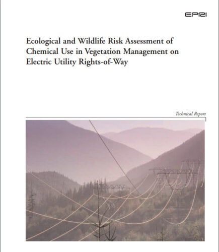 Technical report cover titled 