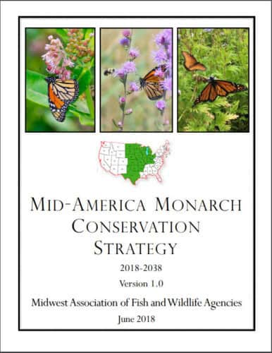 Alt text: Cover of the 