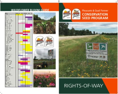 Wildflower Bloom Guide brochure featuring colorful images of native plants, a conservation seed program overview by Pheasants & Quail Forever, and a sign for Illinois Habitat Highway. The layout includes a bloom schedule, photos of diverse flora, and information on conservation efforts for rights-of-way.