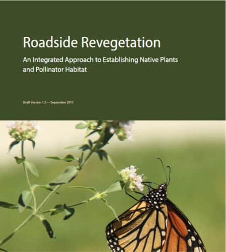 Cover page of a document titled