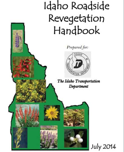 Alt text: Cover of the 