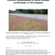Image of a roadside in New England featuring native grasses, illustrating the report titled "Effective Establishment of Native Grasses on Roadsides in New England," prepared for the New England Transportation Consortium. The photograph showcases the lush greenery and landscape management practices discussed in the report.
