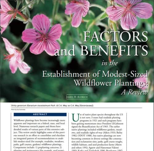 Close-up image of pink sticky geranium flowers (Geranium viscosissimum) with the title