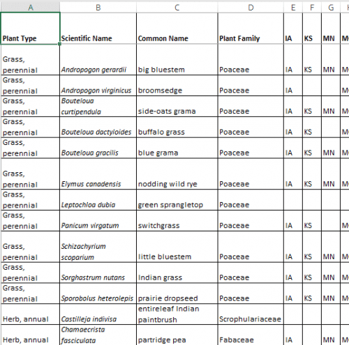Table displaying various grass and herb species, including their scientific names, common names, and plant families, along with their distribution across states like Iowa (IA), Kansas (KS), Minnesota (MN). Key entries include big bluestem, buffalo grass, and Indian grass, all belonging to the Poaceae family.