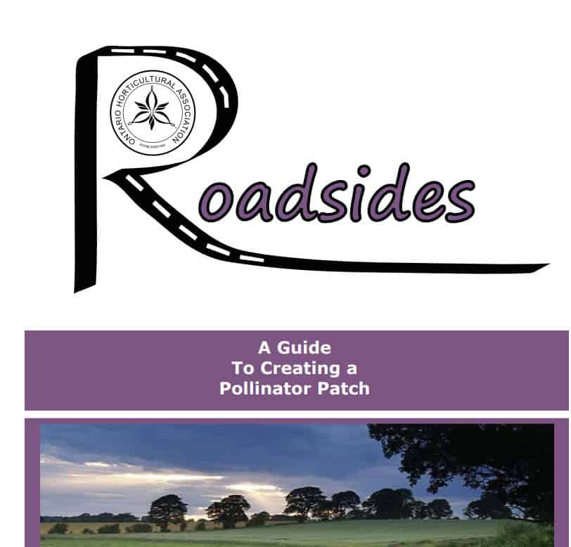 Roadsides – A Guide to Creating a Pollinator Patch - Rights-of-Way as ...