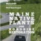 MaineDOT and Wild Seed Project collaboration promoting the use of Maine native plants for effective roadside restoration, featuring a winding highway surrounded by greenery and wildflowers.