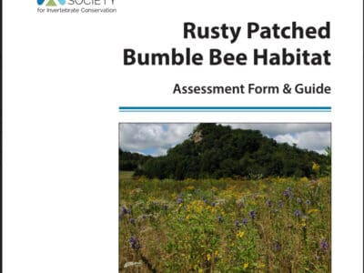 Cover page of the "Rusty Patched Bumble Bee Habitat Assessment Form & Guide" by the Xerces Society, featuring a vibrant field of wildflowers and a backdrop of lush green hills, highlighting the importance of conserving invertebrate habitats.