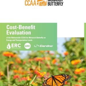 Thumbnail to Monarch CCAA Cost Benefit Analysis Summary. Opens link in a new tab