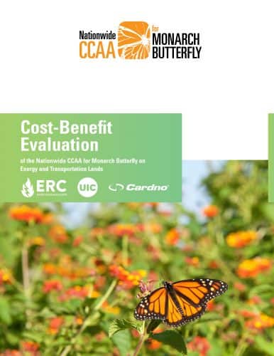Thumbnail to Monarch CCAA Cost Benefit Analysis Summary. Opens link in a new tab