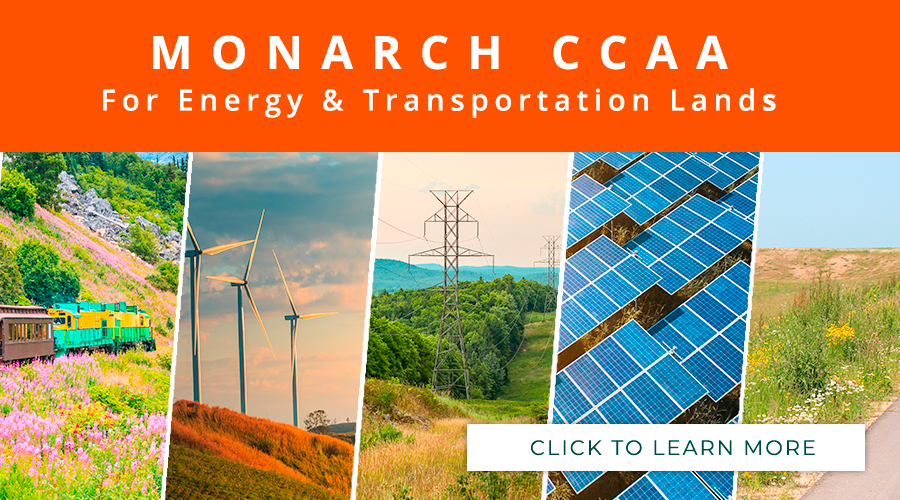 Monarch CCAA image