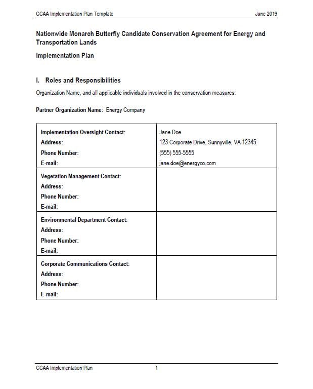 Thumbnail to Example Implementation Plan. Link opens in a new tab.