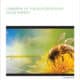 A bee pollinates a flower in front of solar panels under a bright sky, illustrating the concept of pollinator-friendly solar energy in a report by the Electric Power Research Institute.