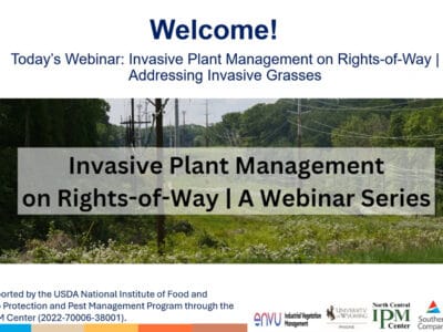 Image depicting a webinar titled "Invasive Plant Management on Rights-of-Way," focusing on addressing invasive grasses. The background features a landscape with power lines and vegetation, emphasizing the importance of managing invasive species in utility corridors. Logos of supporting organizations are displayed at the bottom.