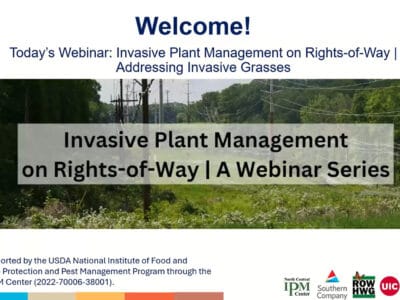 Webinar slide introducing "Invasive Plant Management on Rights-of-Way," focusing on methods to address invasive grasses, with a background image of a green landscape featuring power lines and vegetation.
