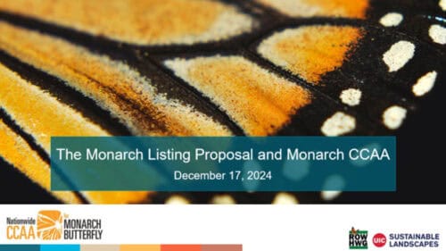 Close-up image of a monarch butterfly wing showcasing its vibrant orange and black patterns, with text overlay titled