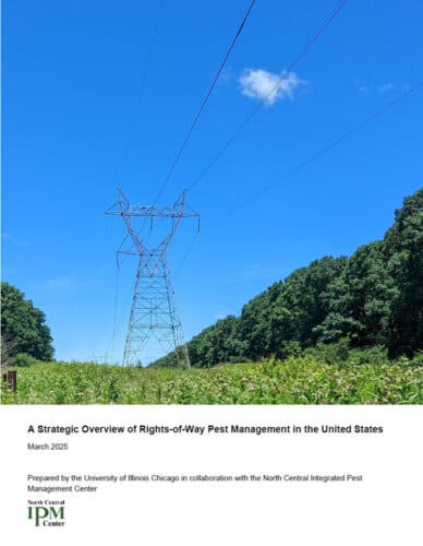 Power lines stretch across a blue sky, surrounded by green vegetation, illustrating rights-of-way management in the United States. This image supports the strategic overview of pest management practices as outlined in the report prepared by the University of Illinois Chicago and the North Central Integrated Pest Management Center, published in March 2025.