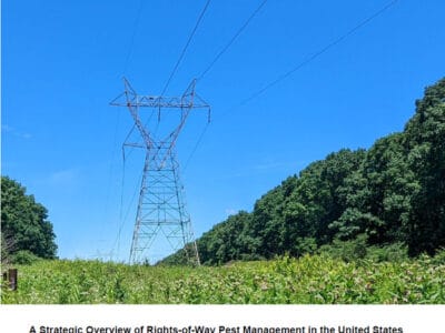 Power lines stretch across a blue sky, surrounded by green vegetation, illustrating rights-of-way management in the United States. This image supports the strategic overview of pest management practices as outlined in the report prepared by the University of Illinois Chicago and the North Central Integrated Pest Management Center, published in March 2025.