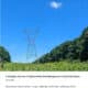 Power lines stretch across a blue sky, surrounded by green vegetation, illustrating rights-of-way management in the United States. This image supports the strategic overview of pest management practices as outlined in the report prepared by the University of Illinois Chicago and the North Central Integrated Pest Management Center, published in March 2025.