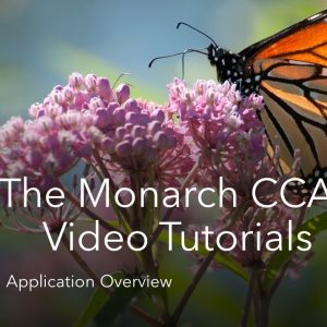 Thumbnail for the CCAA Application Overview video. Click the link above the thumbnail to open the video in a new window.