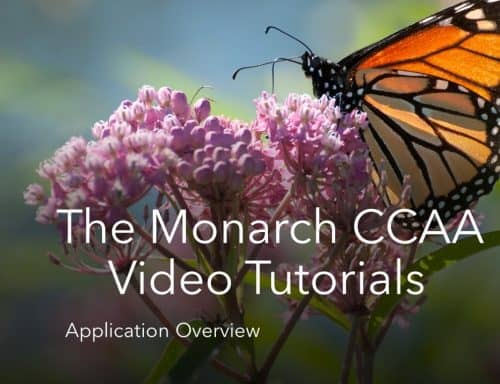Thumbnail for the CCAA Application Overview video. Click the link above the thumbnail to open the video in a new window.