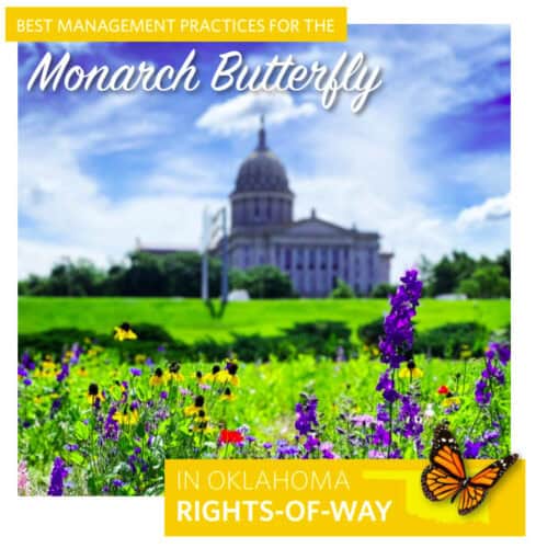 Colorful wildflowers in a field with the Oklahoma State Capitol in the background, highlighting best management practices for the conservation of the Monarch butterfly in rights-of-way.